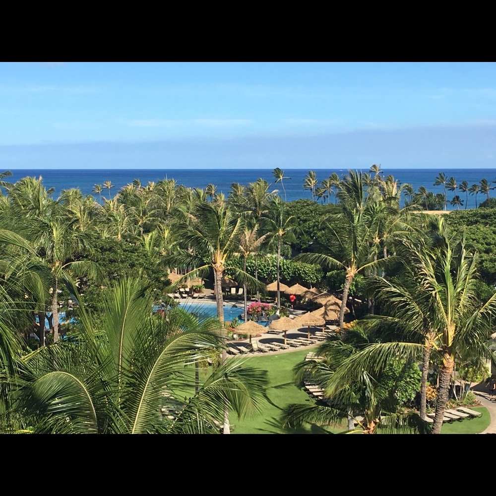 Meet your Posher, Mila